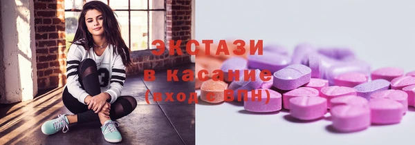 СК Алексин