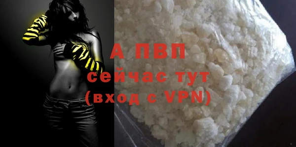 СК Алексин