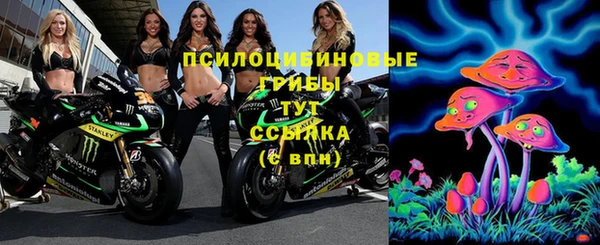 ГАЛЛЮЦИНОГЕННЫЕ ГРИБЫ Алзамай