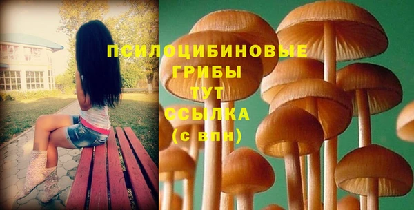 2c-b Алексеевка
