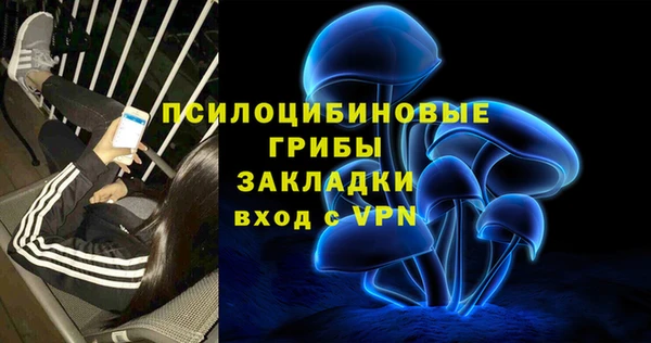 СК Алексин