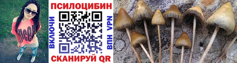 Псилоцибиновые грибы GOLDEN TEACHER  Обнинск 